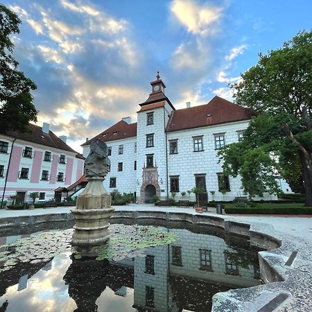 Appartement Historicky Dum U Lazni à Třeboň Extérieur photo